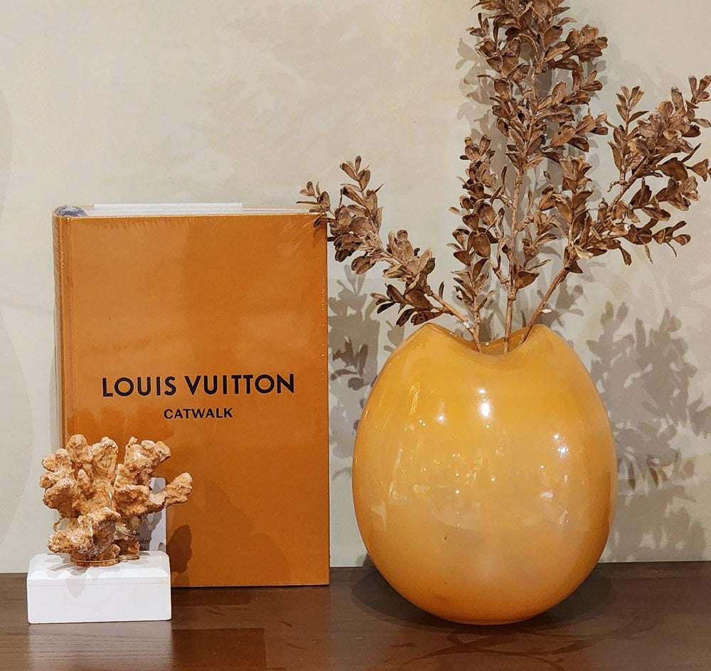 ספר מותג LOUIS VUITTON CATWALK