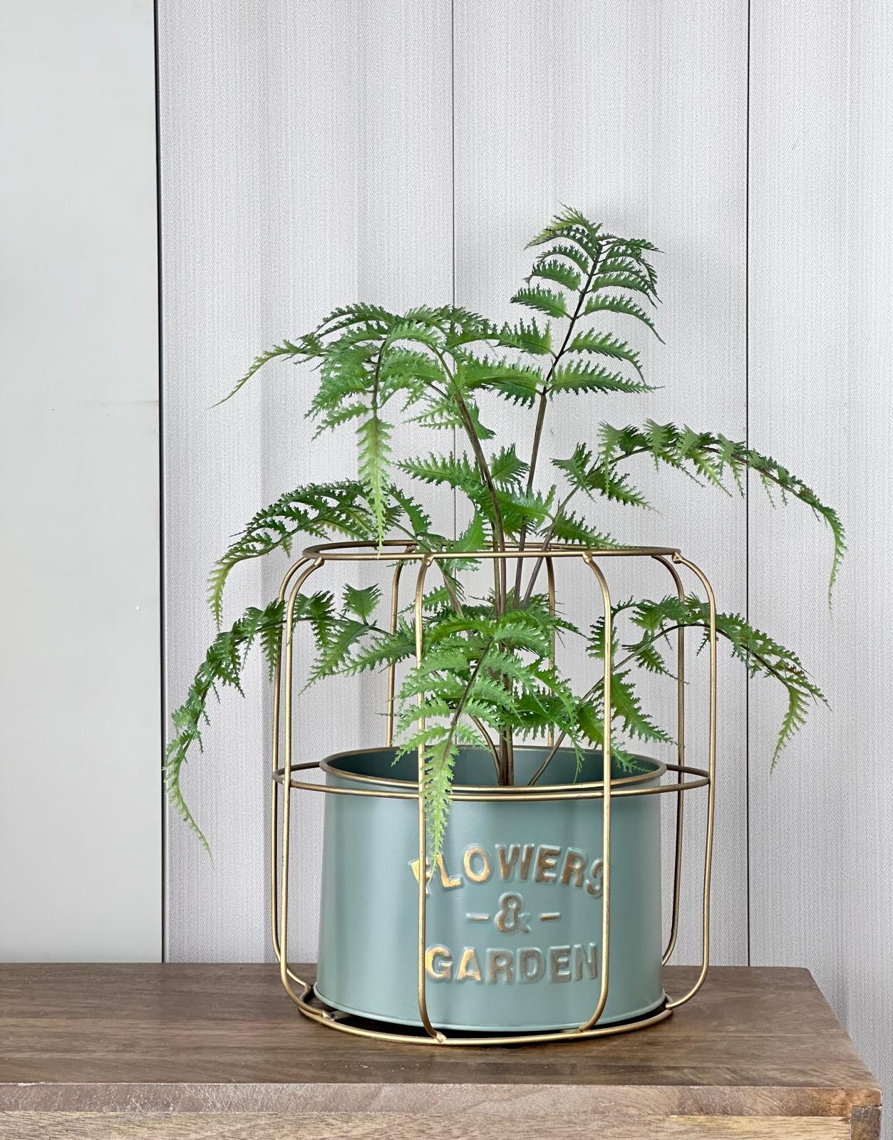 מעמד לעציץ דגם 'רשת' ירוק כהה כולל צמח שרך