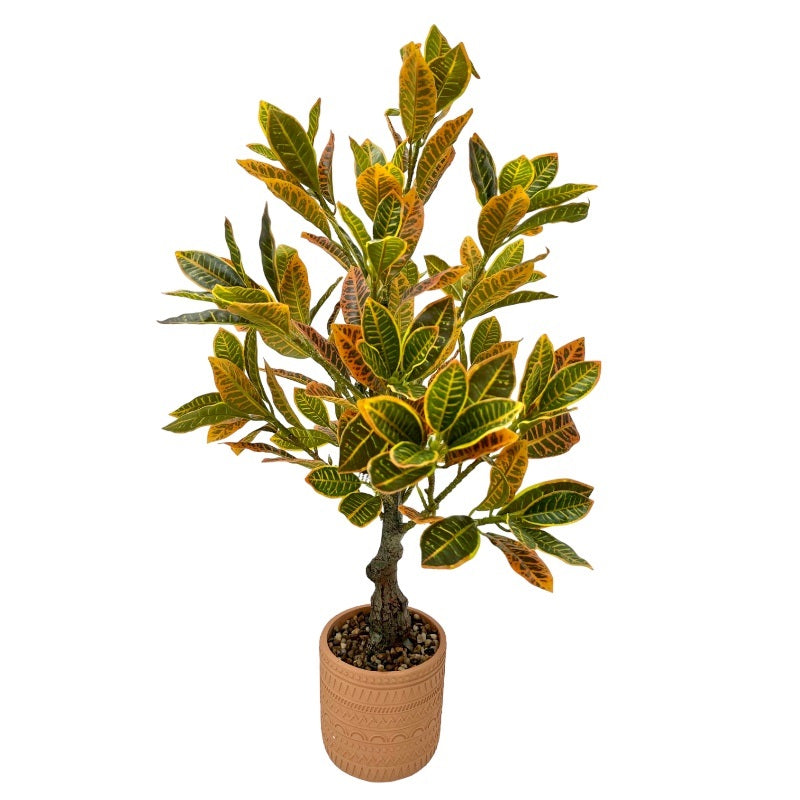 עציץ בכלי טרקוטה 75סמ