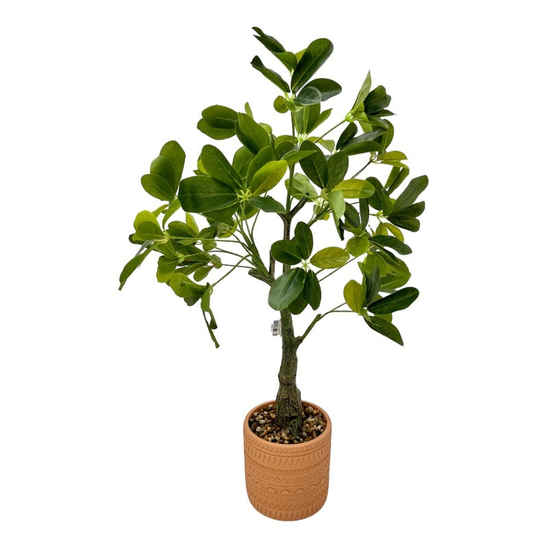 עציץ בכלי חרס גובה 70סמ