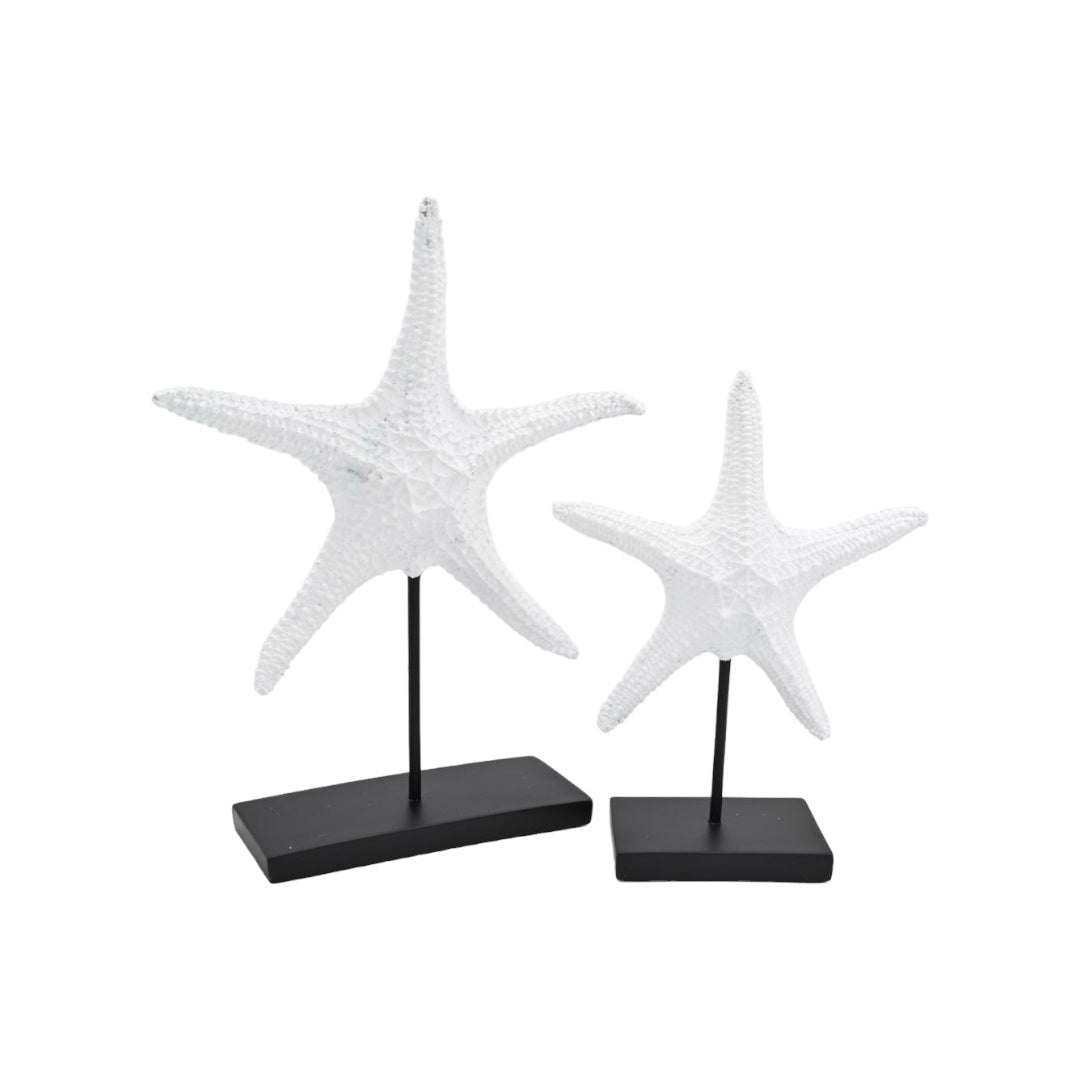 סט פסלים כוכב ים וואייט