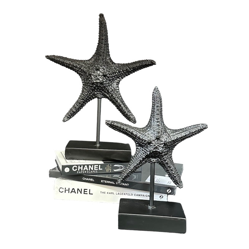 פסל כוכב ים בלאק