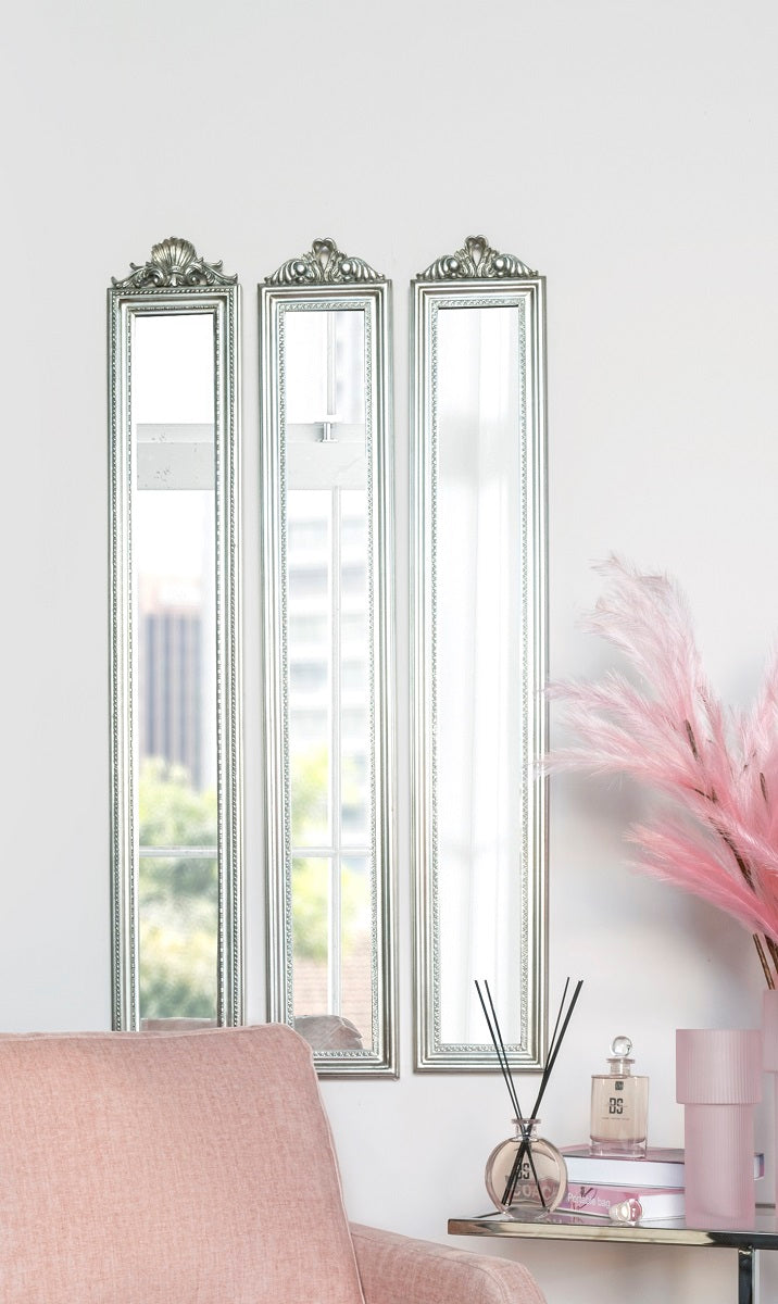 מראה צרה מסגרת כסף