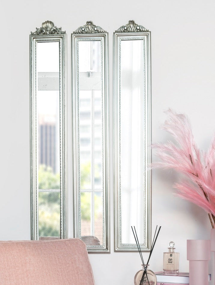 מראה צרה מסגרת כסף