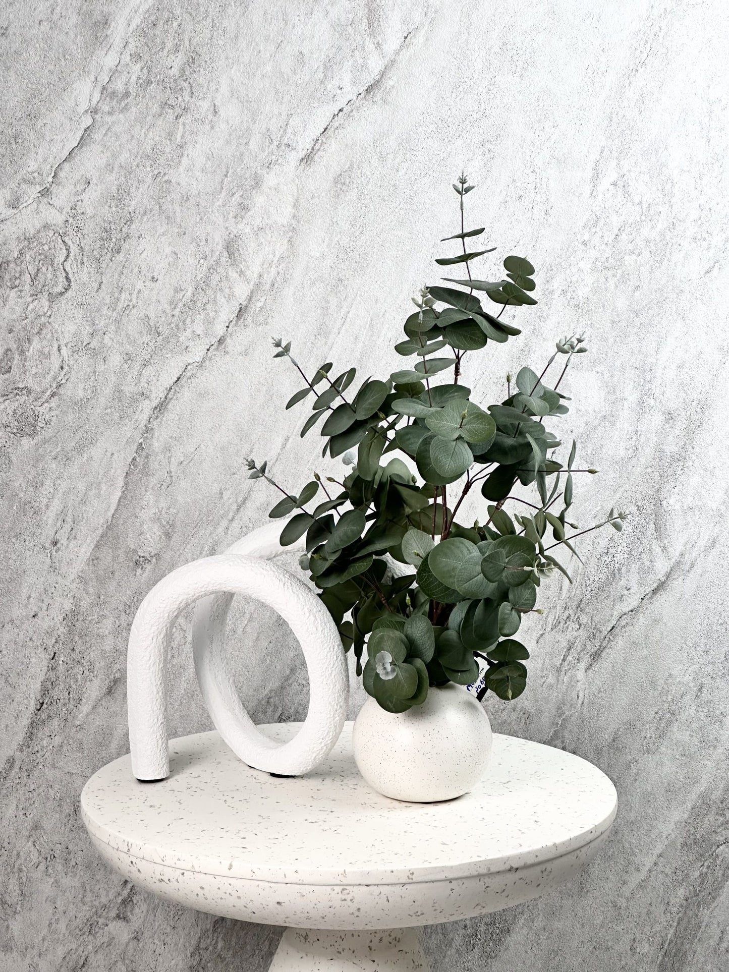 עציץ אקליפטוס