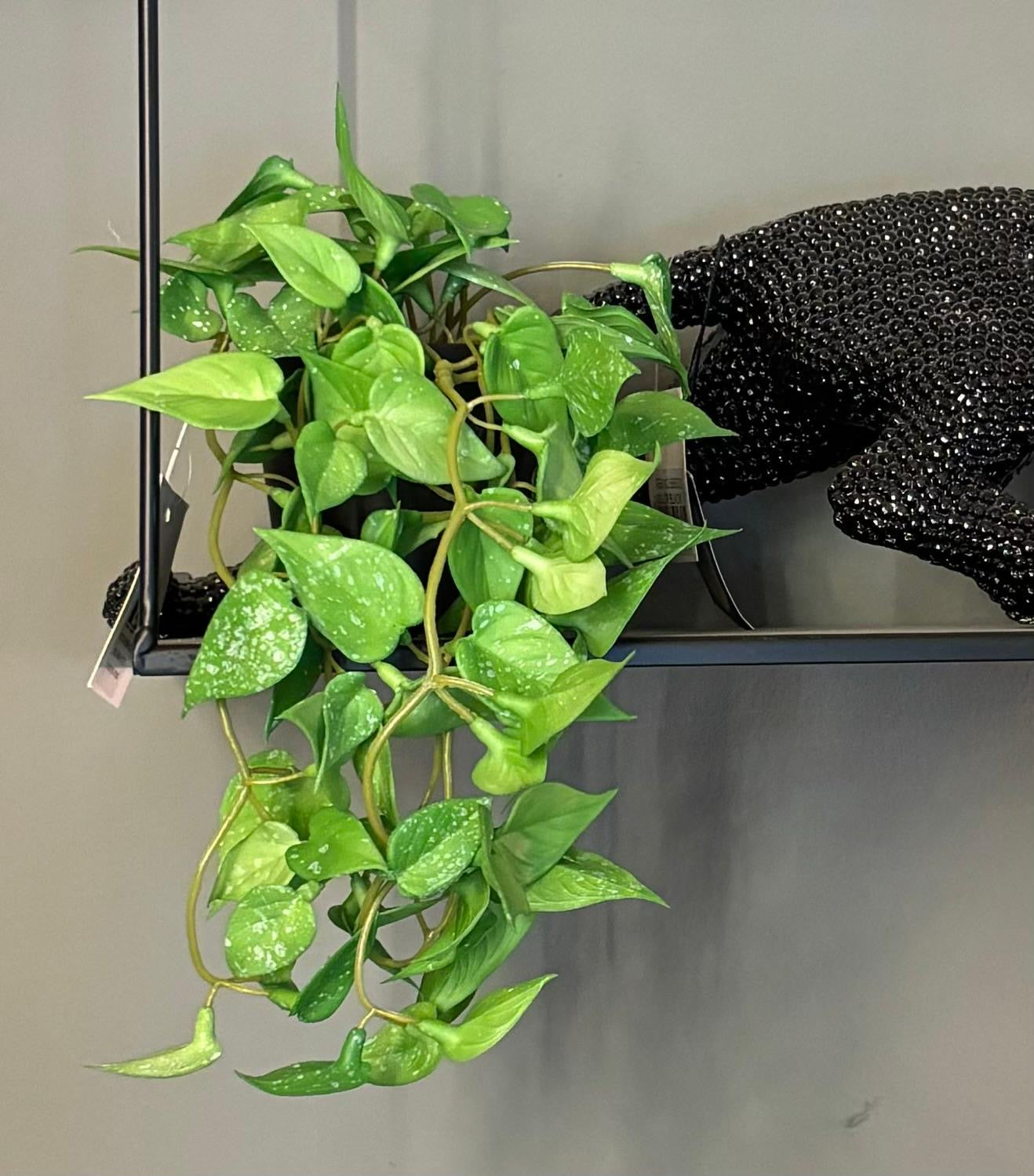 שלישית עציצים נשפכים מגע אמיתי