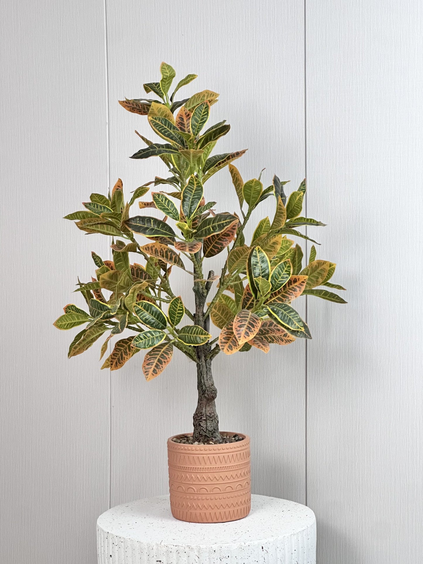 עציץ בכלי טרקוטה