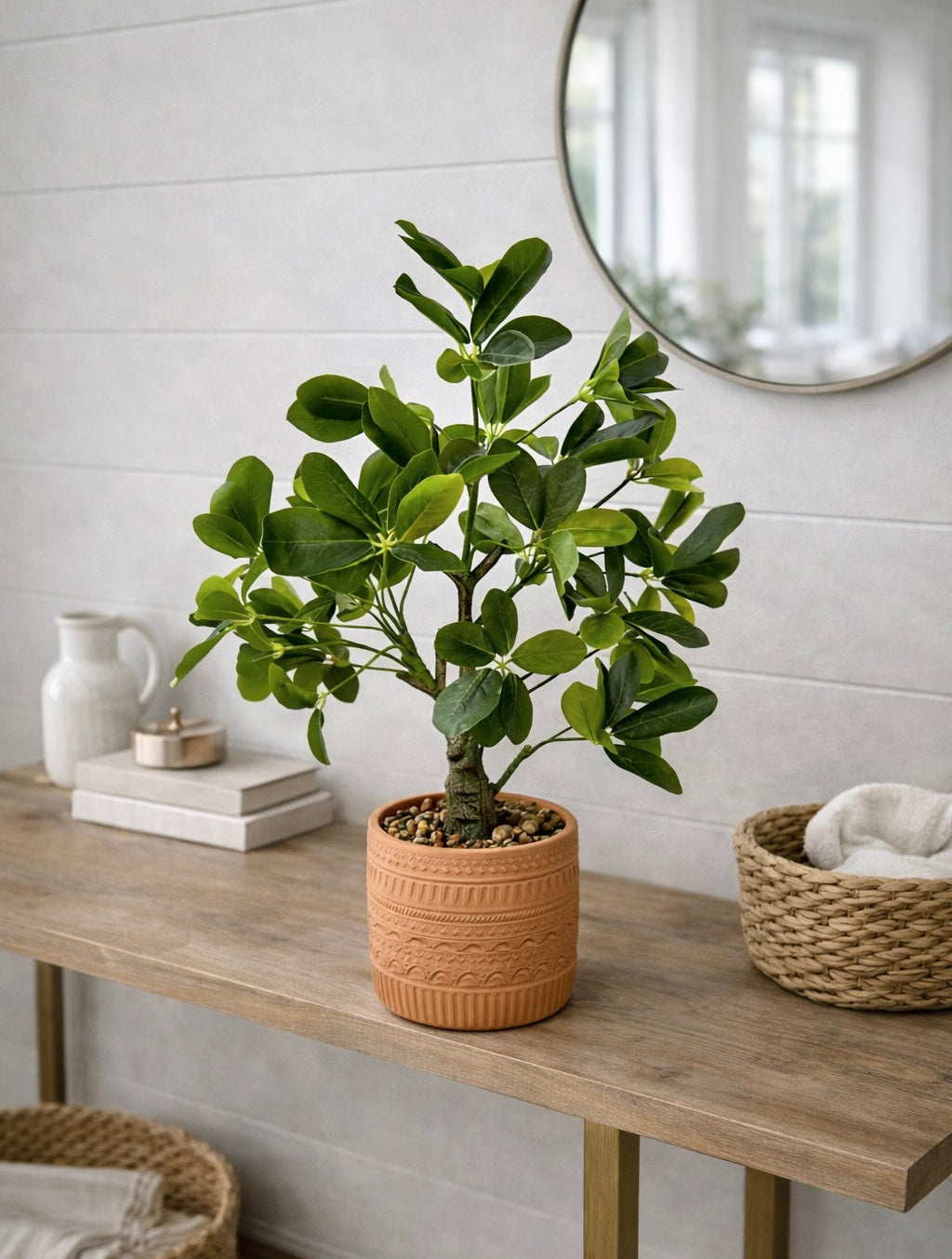 עציץ  בכלי חרס