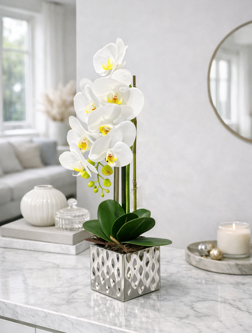 סחלב בעציץ כסף