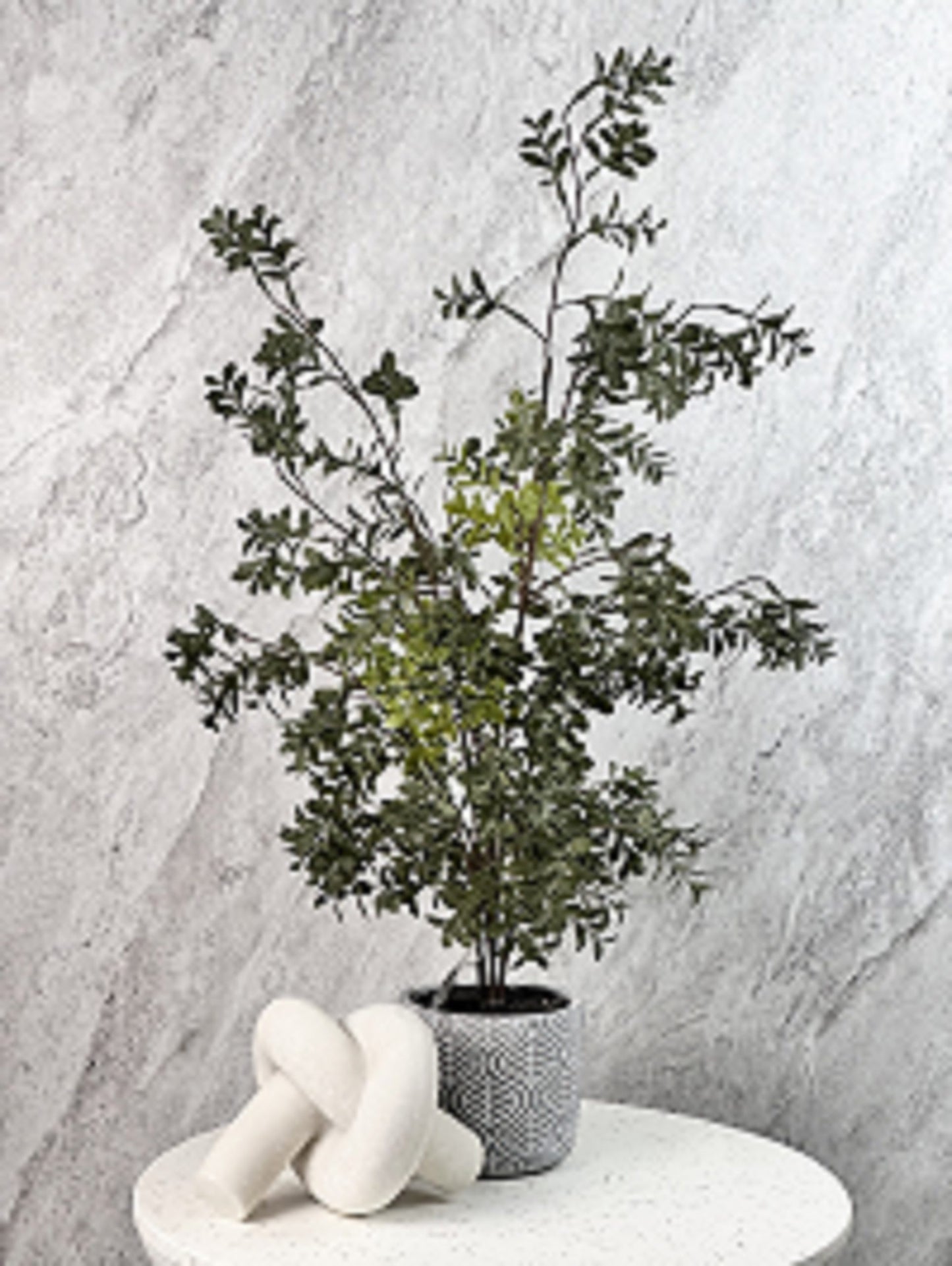 עציץ בכלי בטון