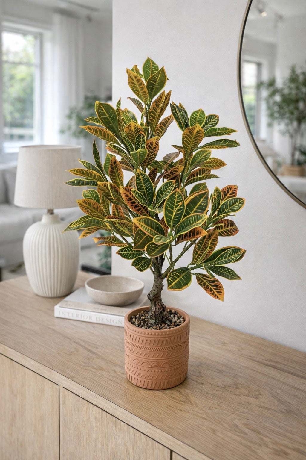 עציץ בכלי טרקוטה