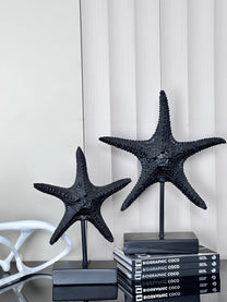 זוג כוכב ים בלאק