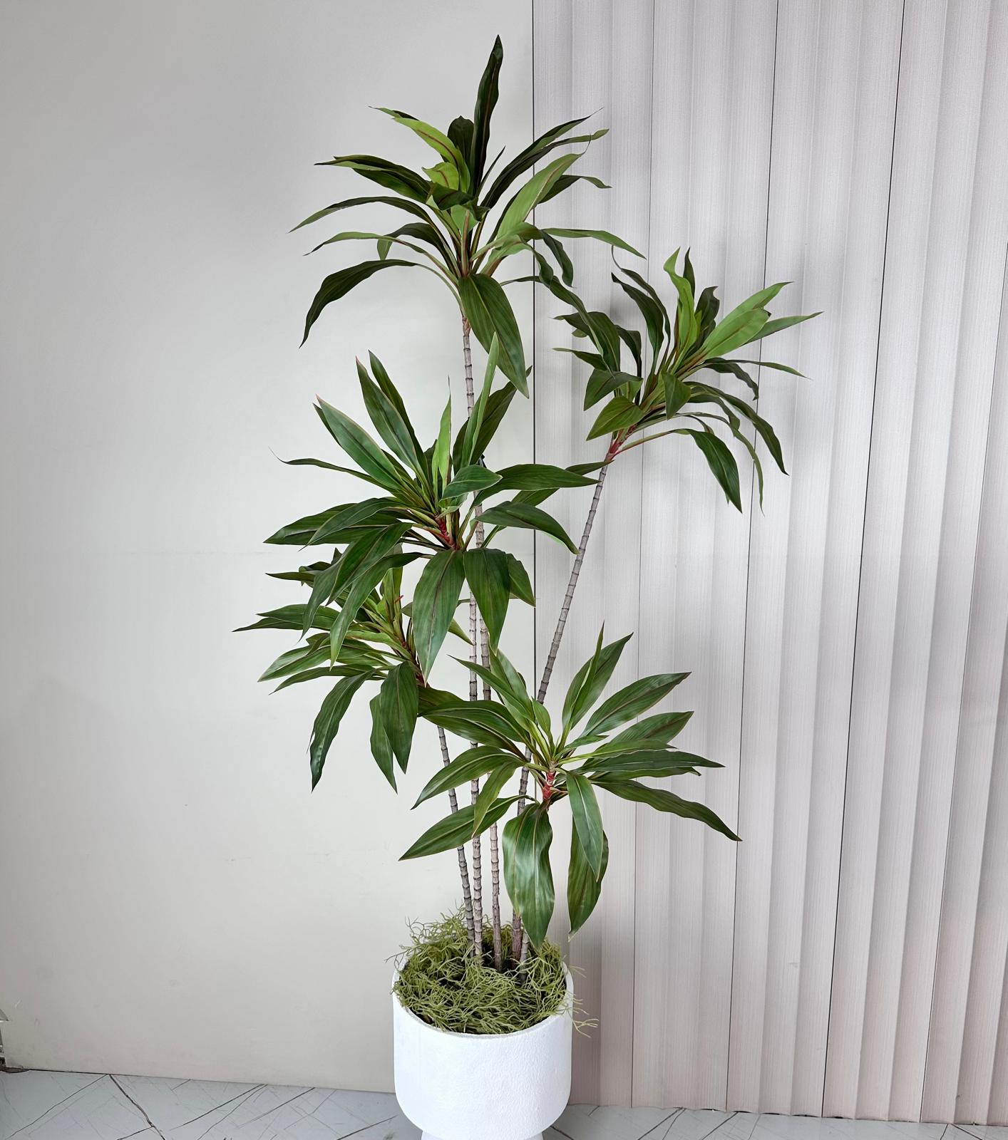 דרצנה מלאכותית דקורטיבית