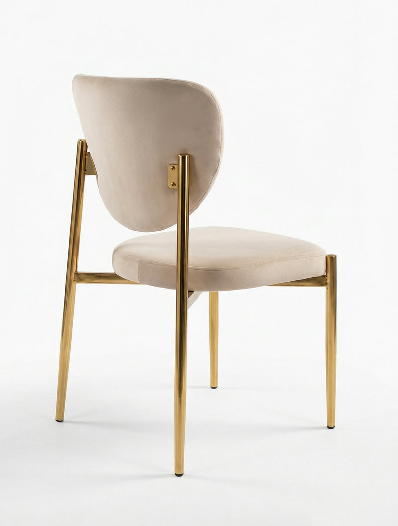 כיסא אוכל מרופד בגוון שמנת עם גב מעוגל ורגלי מתכת בגימור זהב, צילום סטודיו על רקע לבן