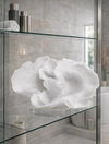 פסל אלמוג לבן Ivory Coral על בסיס קריסטל שקוף 