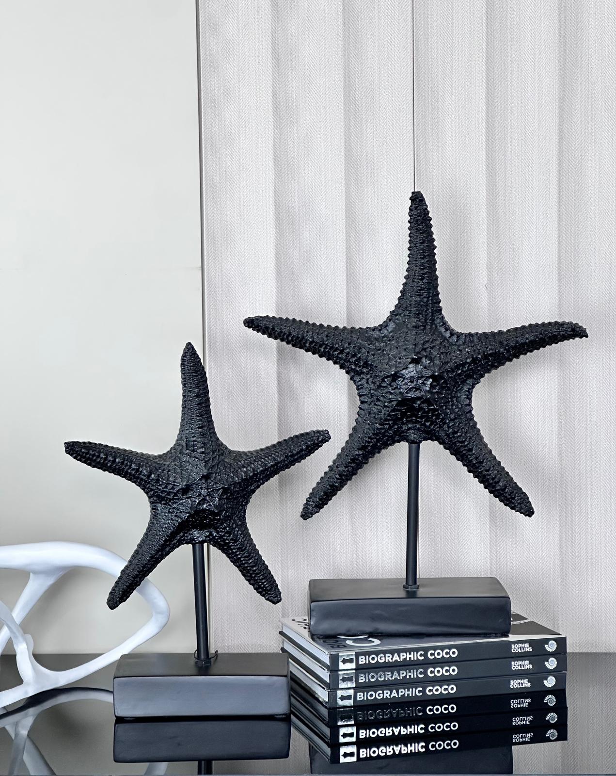 סט 2 כוכבי ים שחור מט