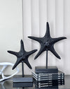 סט 2 כוכבי ים שחור מט