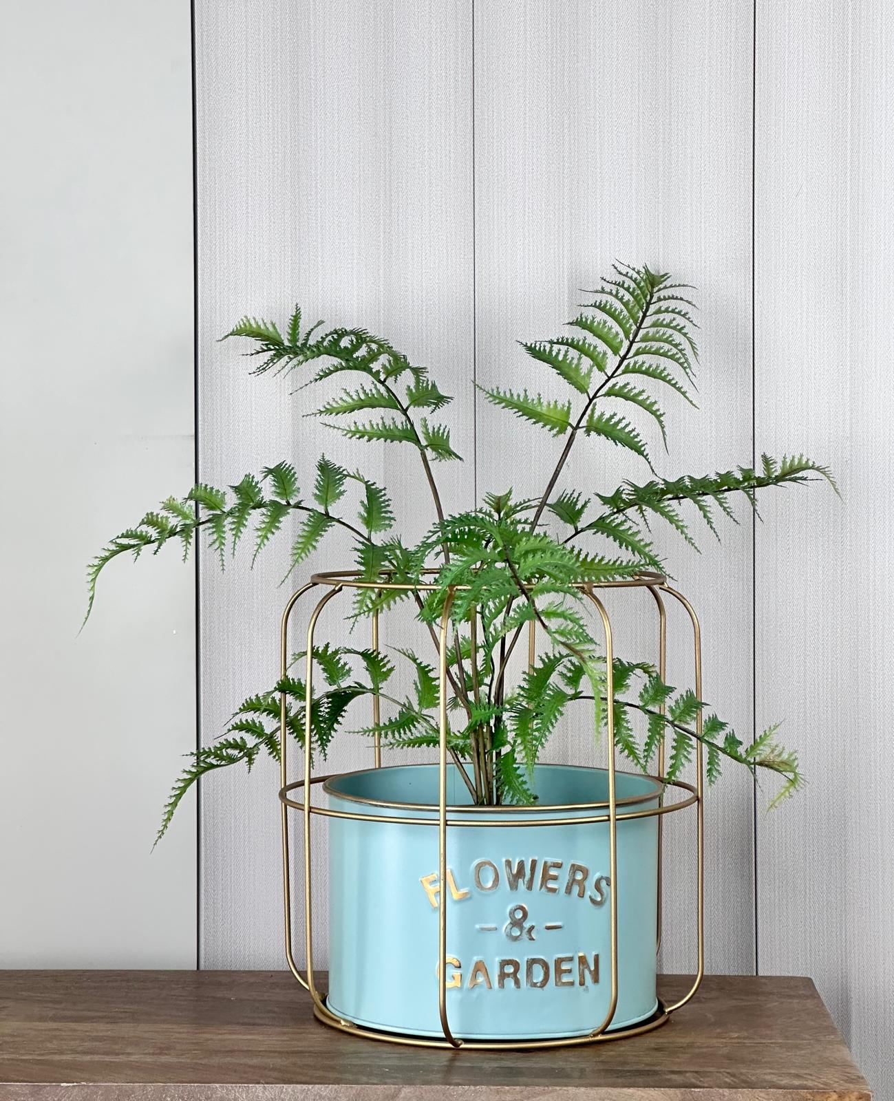 מחיר נטו!!! מעמד לעציץ דגם 'רשת' - ירוק בהיר כולל צמח שרך