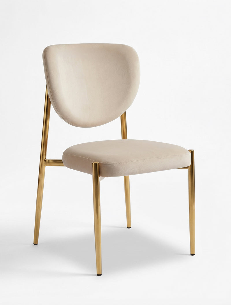 כיסא אוכל מרופד בגוון שמנת עם גב מעוגל ורגלי מתכת בגימור זהב, צילום סטודיו על רקע לבן