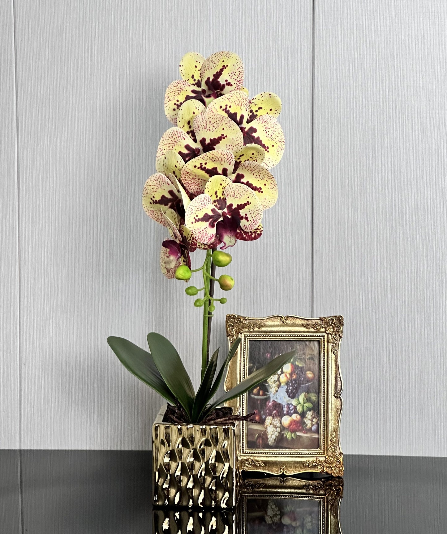 סחלב בעציץ כסף