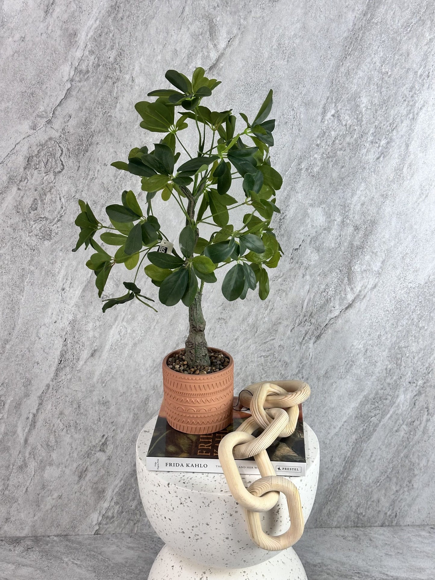 עציץ בכלי טרקוטה