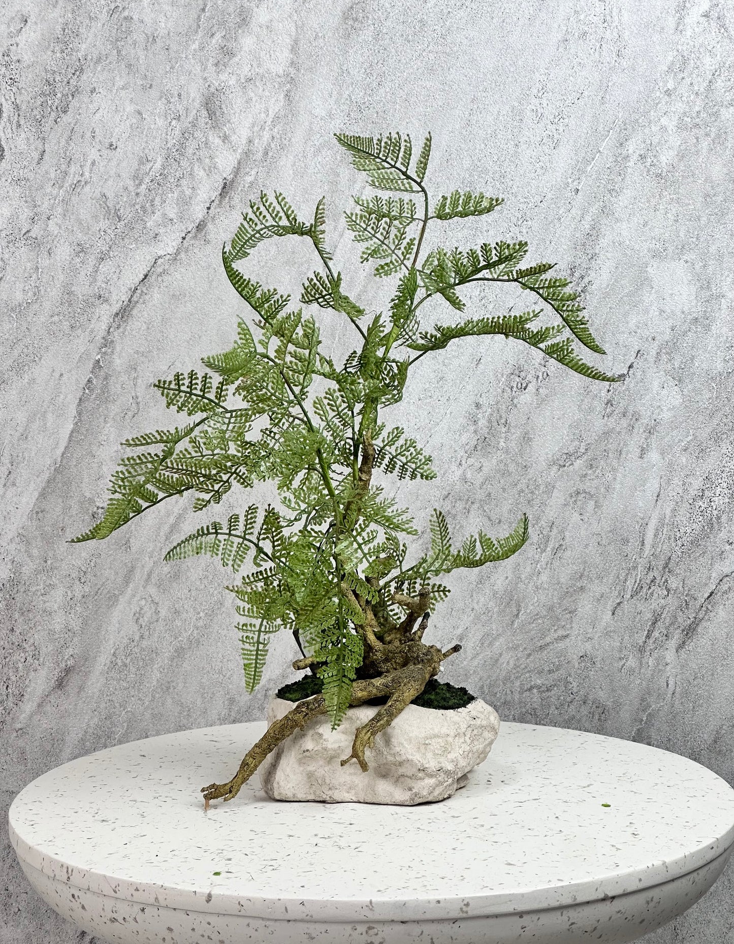 עציץ ירוק צומחים  מאבן